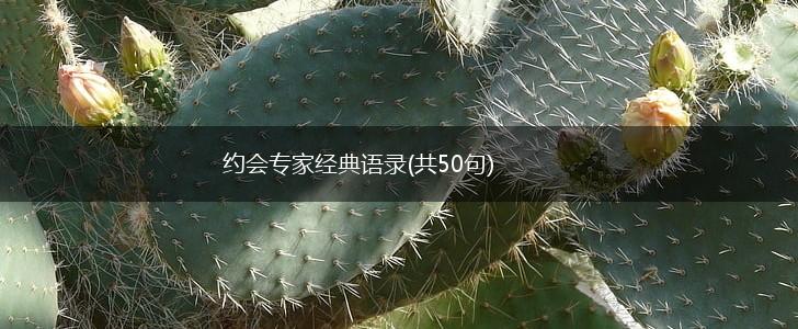 约会专家经典语录(共50句),第1张