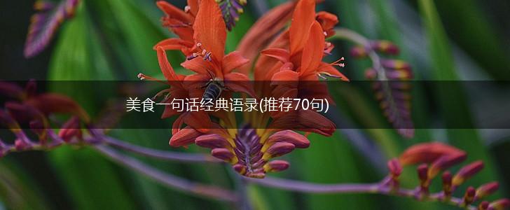 美食一句话经典语录(推荐70句),第1张