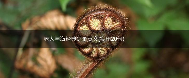 老人与海经典语录英文(实用20句),第1张