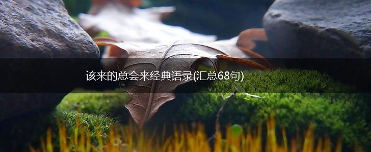 该来的总会来经典语录(汇总68句),第1张