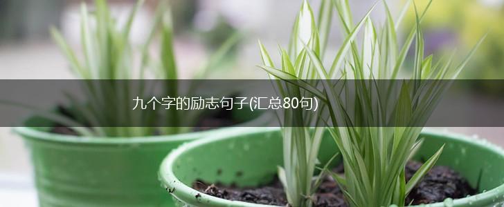 九个字的励志句子(汇总80句),第1张