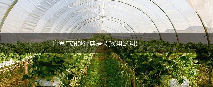 自卑与超越经典语录(实用14句),第1张