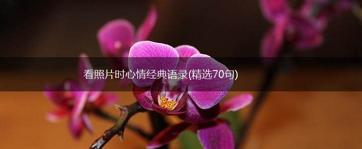 看照片时心情经典语录(精选70句),第1张
