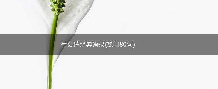 社会磕经典语录(热门80句),第1张