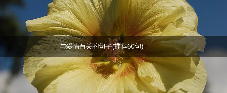 与爱情有关的句子(推荐60句),第1张