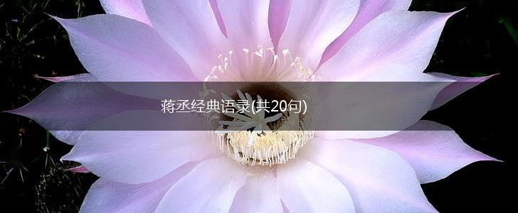 蒋丞经典语录(共20句),第1张