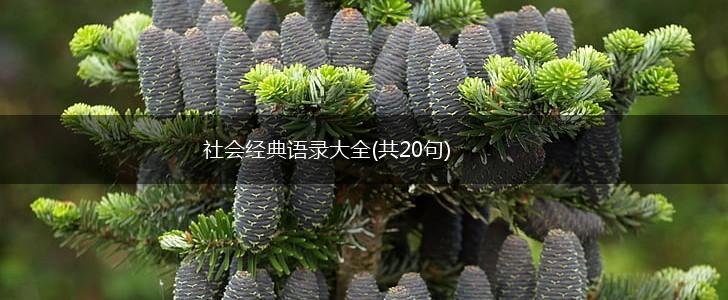 社会经典语录大全(共20句),第1张