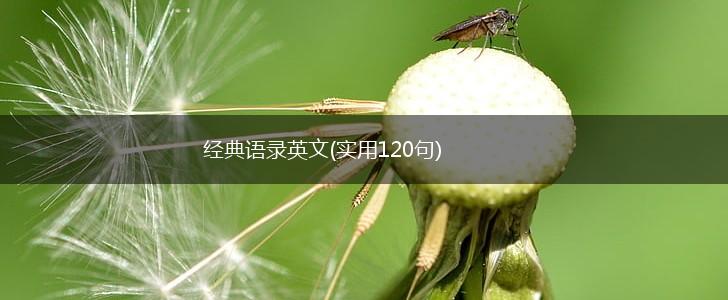 经典语录英文(实用120句),第1张