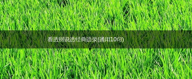 看透别说透经典语录(通用10句),第1张