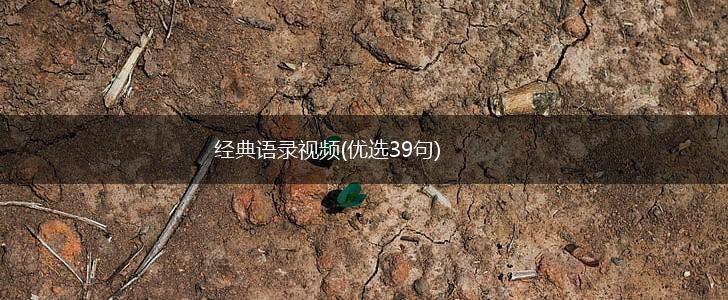 经典语录视频(优选39句),第1张 经典语录视频(优选39句),第1张