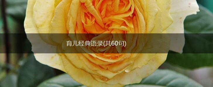 育儿经典语录(共60句),第1张