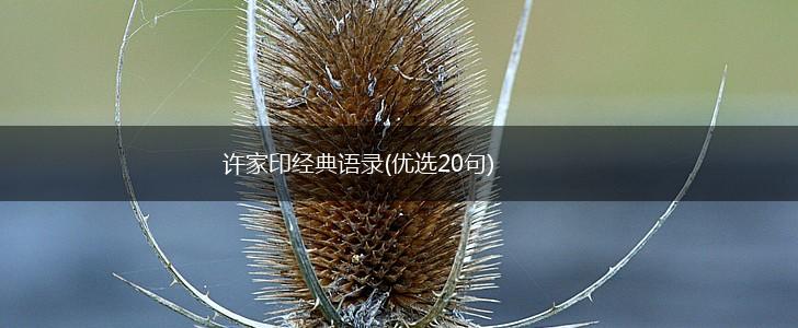 许家印经典语录(优选20句),第1张