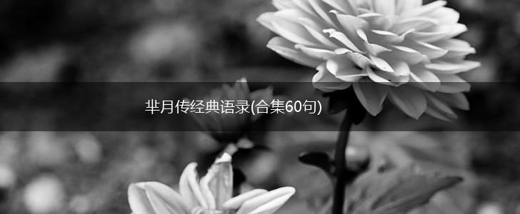 芈月传经典语录(合集60句),第1张 芈月传经典语录(合集60句),第1张