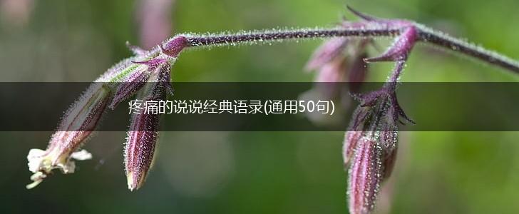 疼痛的说说经典语录(通用50句),第1张 疼痛的说说经典语录(通用50句),第1张