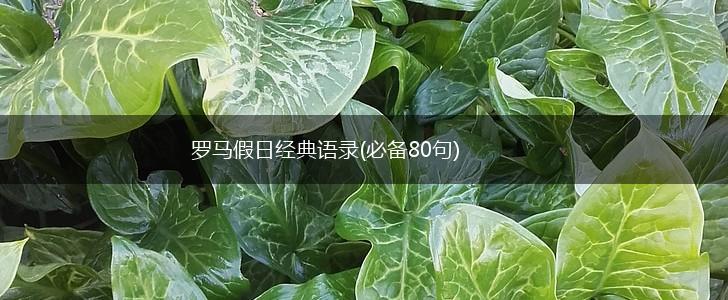 罗马假日经典语录(必备80句),第1张