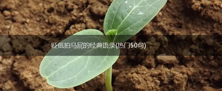贬低拍马屁的经典语录(热门50句),第1张