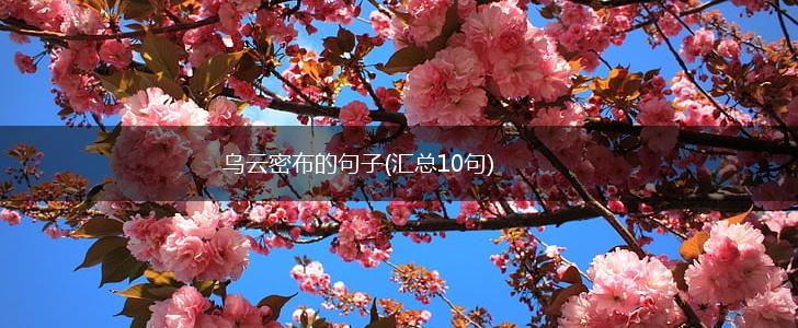 乌云密布的句子(汇总10句),第1张