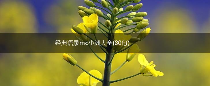 经典语录mc小洲大全(80句),第1张