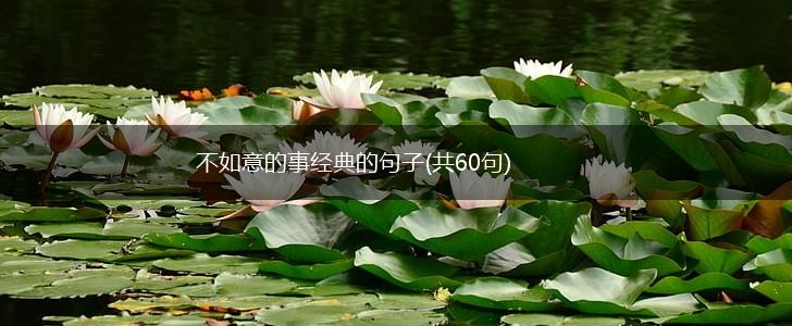 不如意的事经典的句子(共60句),第1张