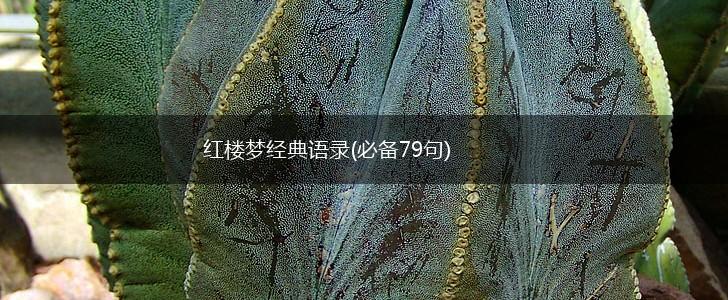 红楼梦经典语录(必备79句),第1张