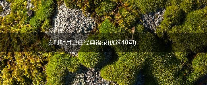秦时明月卫庄经典语录(优选40句),第1张