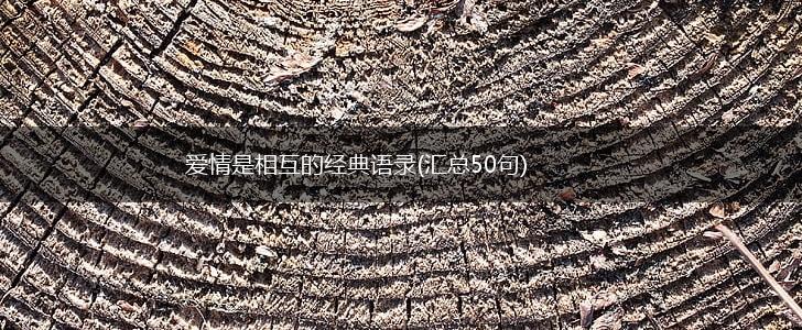 爱情是相互的经典语录(汇总50句),第1张
