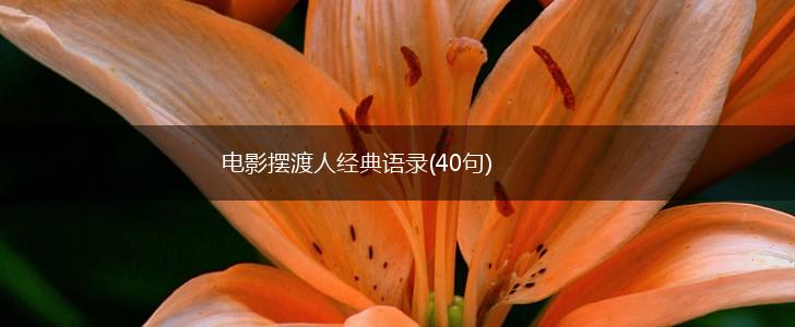 电影摆渡人经典语录(40句),第1张