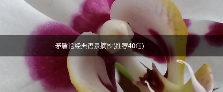 矛盾论经典语录摘抄(推荐40句),第1张