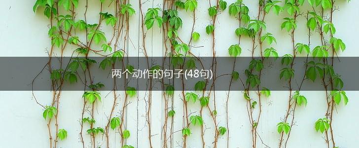 两个动作的句子(48句),第1张