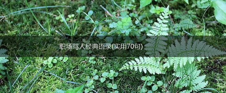 职场骂人经典语录(实用70句),第1张