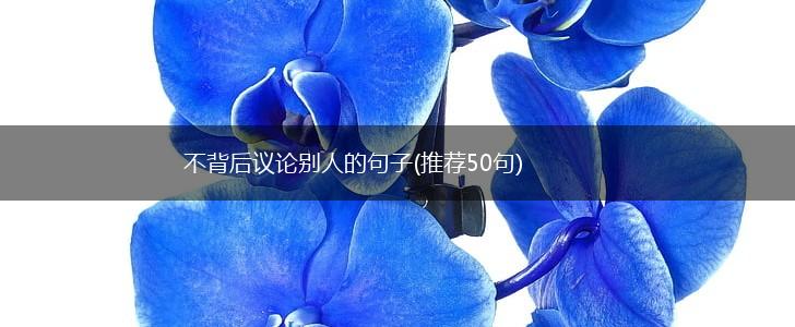 不背后议论别人的句子(推荐50句),第1张