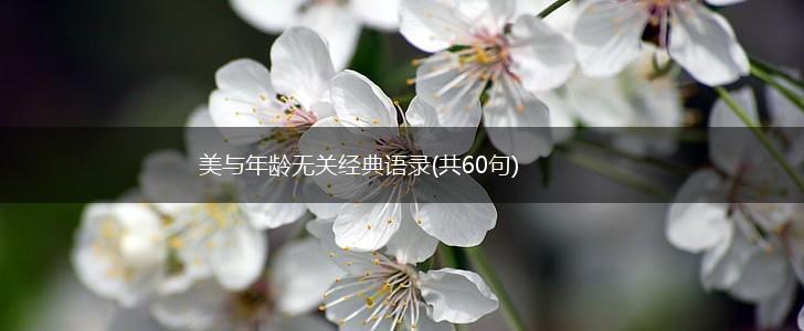 美与年龄无关经典语录(共60句),第1张