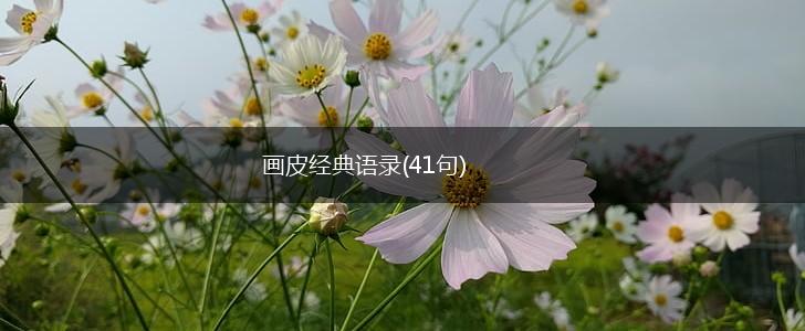 画皮经典语录(41句),第1张