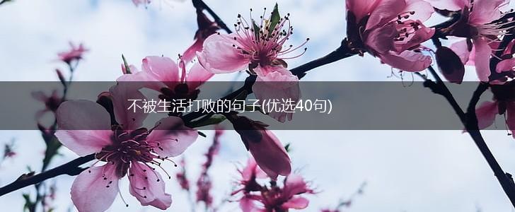 不被生活打败的句子(优选40句),第1张