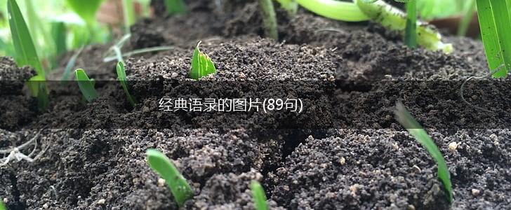 经典语录的图片(89句),第1张