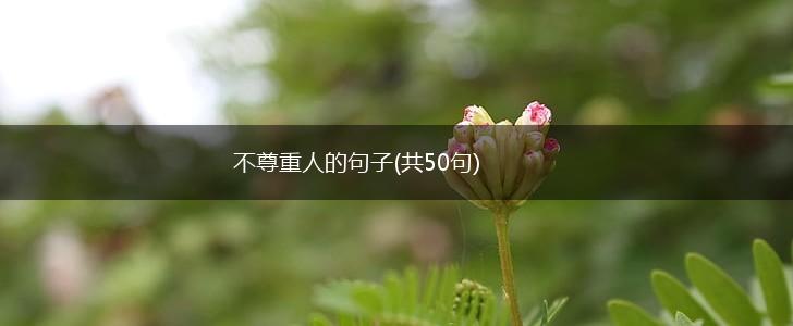 不尊重人的句子(共50句),第1张