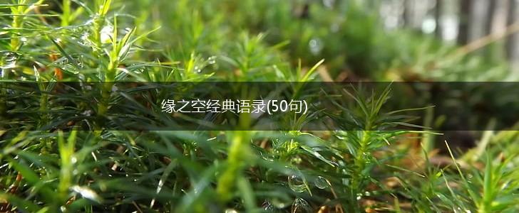 缘之空经典语录(50句),第1张