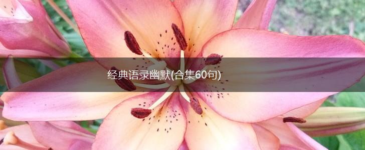 经典语录幽默(合集60句),第1张