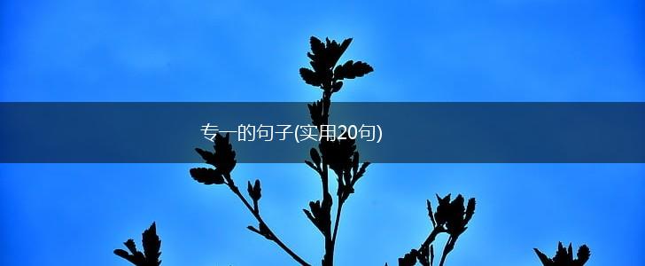 专一的句子(实用20句),第1张