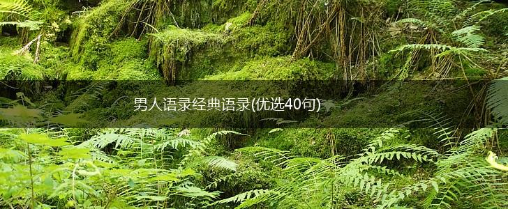 男人语录经典语录(优选40句),第1张