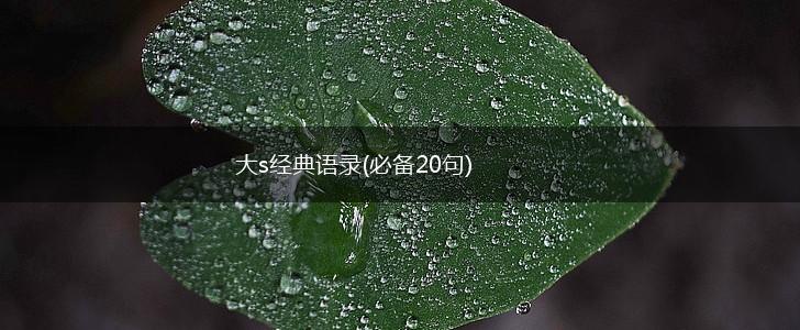 大s经典语录(必备20句),第1张