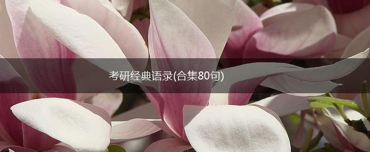 考研经典语录(合集80句),第1张