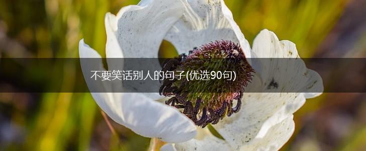 不要笑话别人的句子(优选90句),第1张