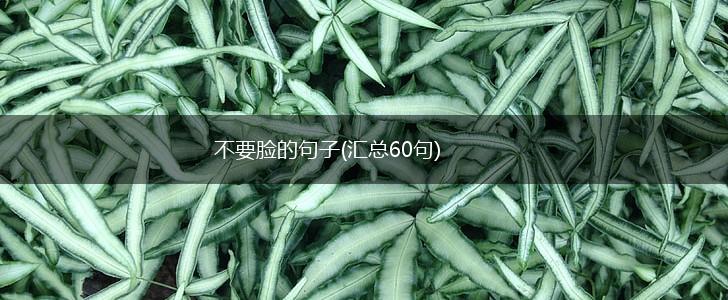不要脸的句子(汇总60句),第1张