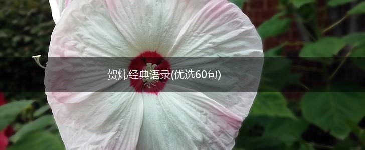 贺炜经典语录(优选60句),第1张