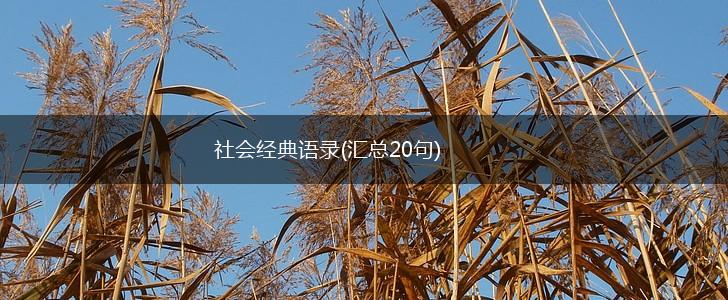 社会经典语录(汇总20句),第1张