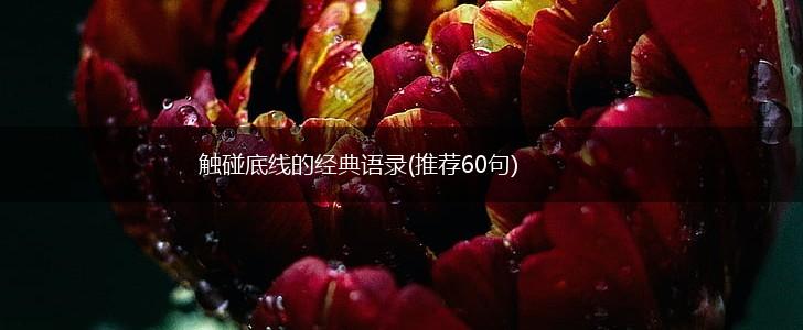 触碰底线的经典语录(推荐60句),第1张