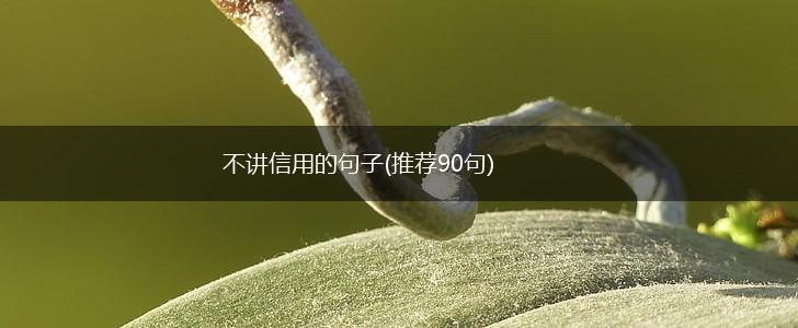 不讲信用的句子(推荐90句),第1张