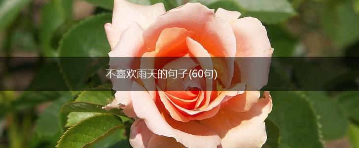 不喜欢雨天的句子(60句),第1张