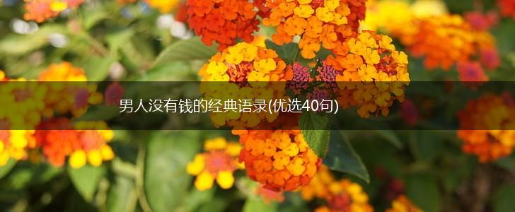 男人没有钱的经典语录(优选40句),第1张